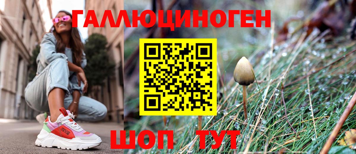 Псилоцибиновые грибы Psilocybine cubensis Гудермес